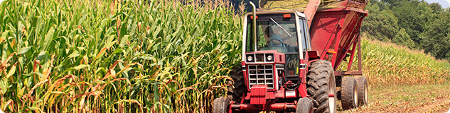 Corn trading